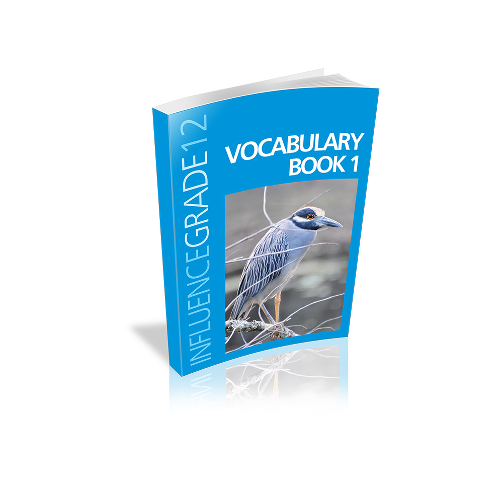 Vocabulary Book