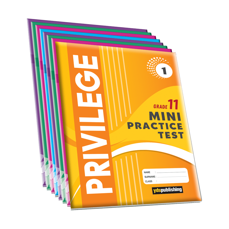 Mini Practice Tests