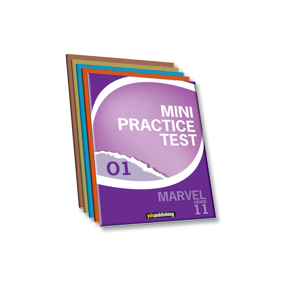 Mini Practice Tests